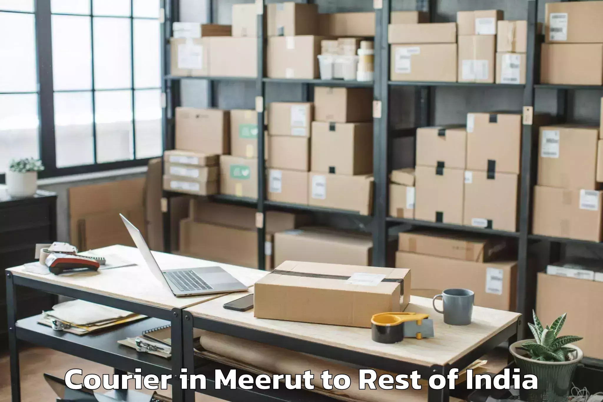 Top Meerut to Rebo Perging Courier Available